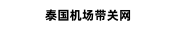 泰国机场带关网